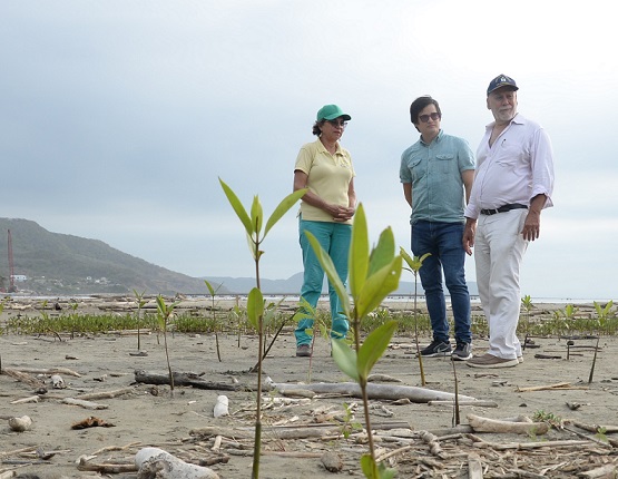 investigadores-de-unisimon-y-secretaria-de-medio-ambiente-de-puerto-colombia-nubia-merlano-verifican-estado-de-mangles-sembrados-exteriores-del-bosque